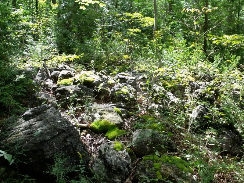 DSCF3524.jpg