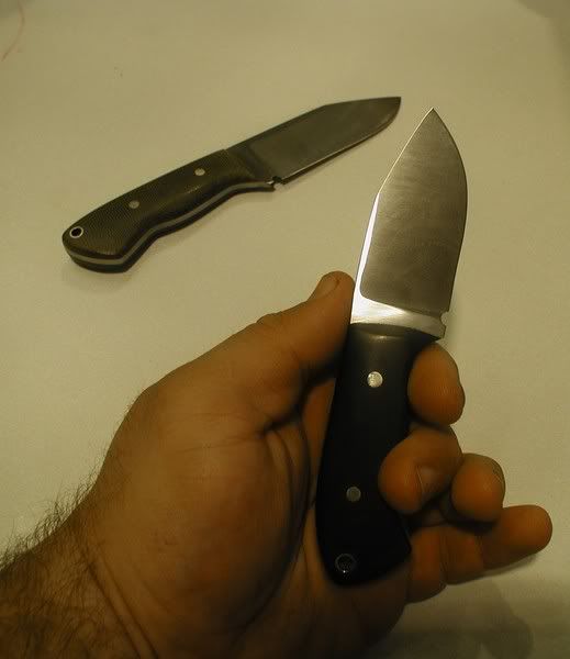 oliveblack16.jpg