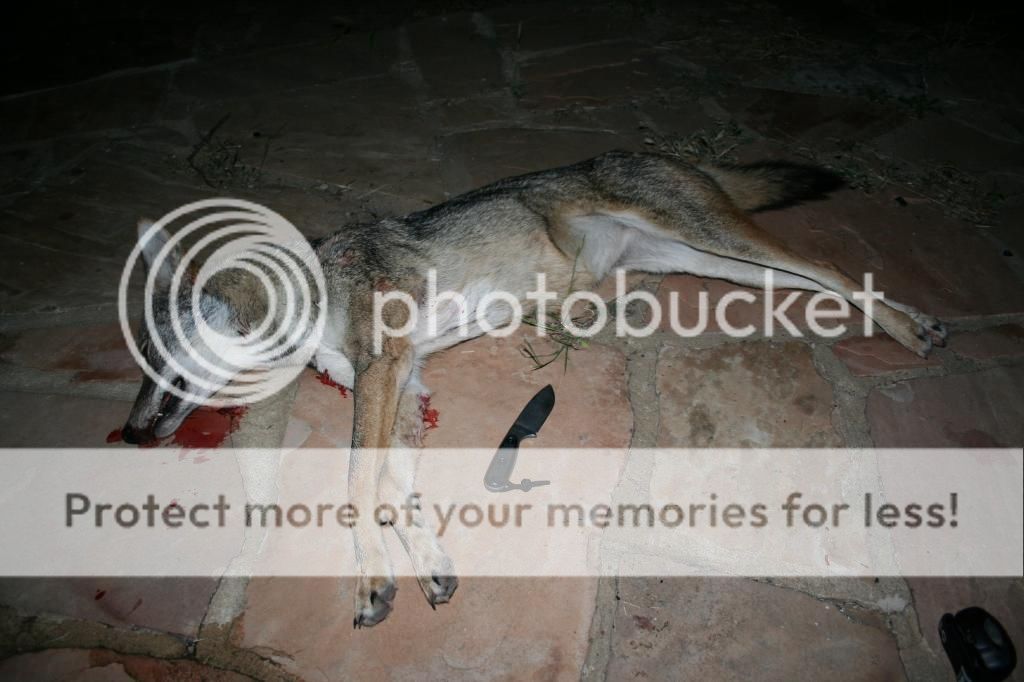 IMG_9316_zpsed50fb63.jpg
