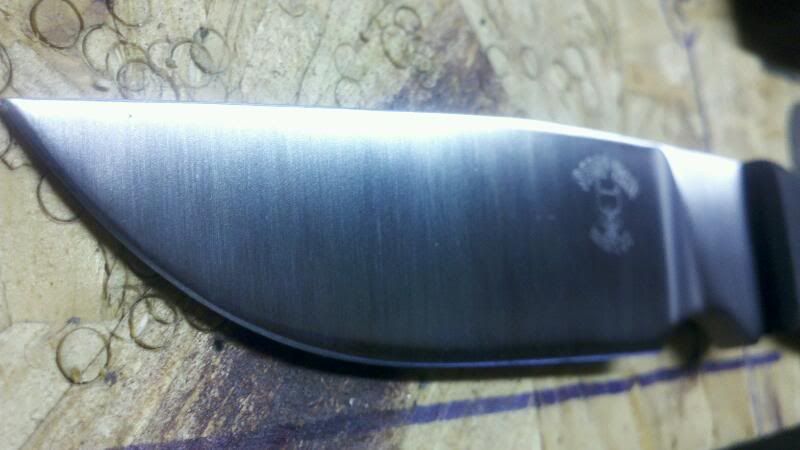 rps20111026_143003.jpg