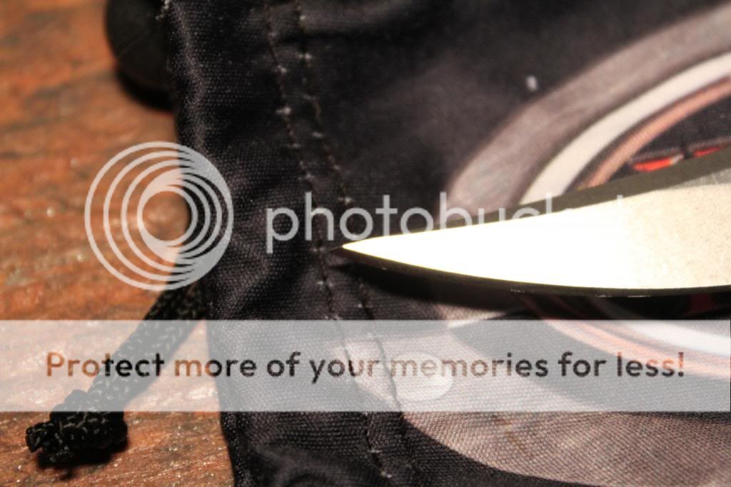IMG_3527_zps156285ab.jpg