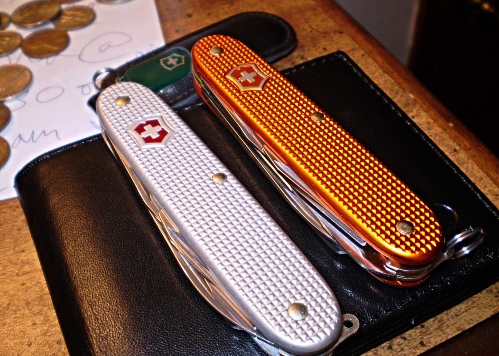 P5290111_zpsa43bf3d8.jpg