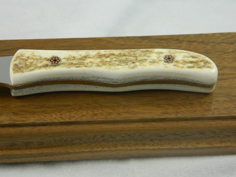 DSCN2084.jpg