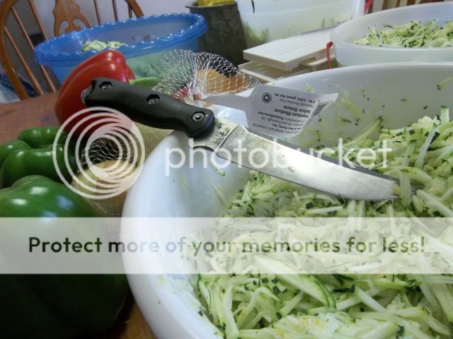 100_3290.jpg