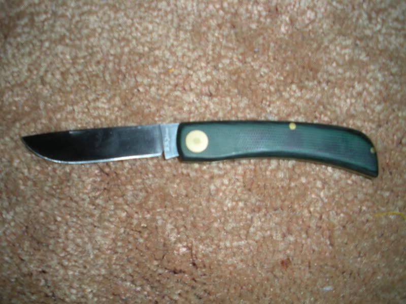 DSCN0190.jpg