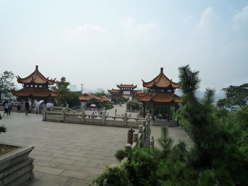 P1010467.jpg