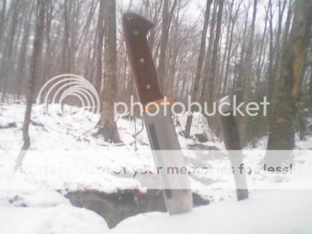 Picture009-1.jpg