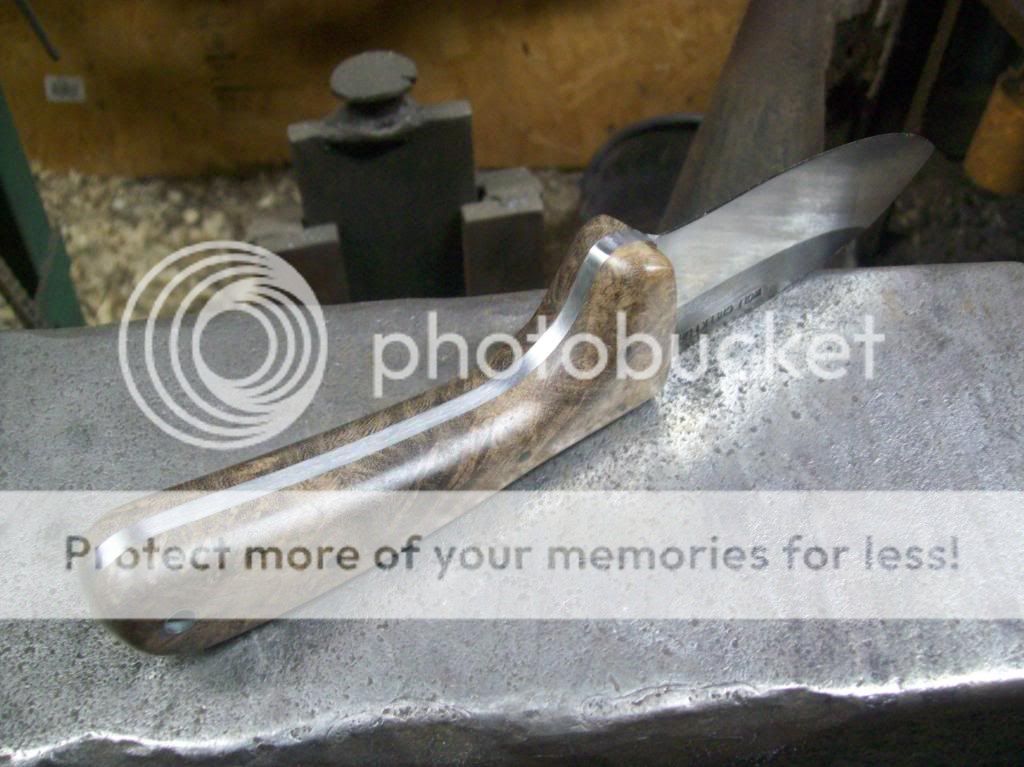 100_8732_zpsf7844305.jpg