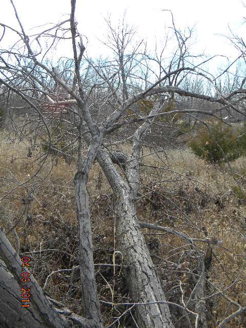 DSCN3564.jpg