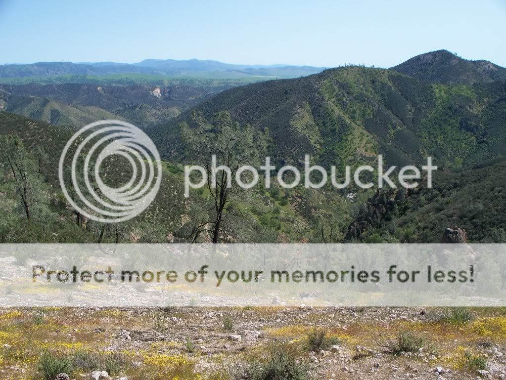 Pinnacles2010025.jpg