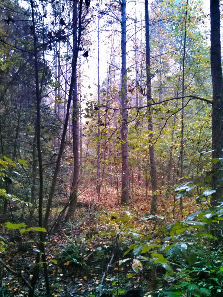 IMG_20141013_093515_7542.jpg