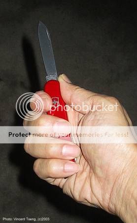 SAK_C.jpg