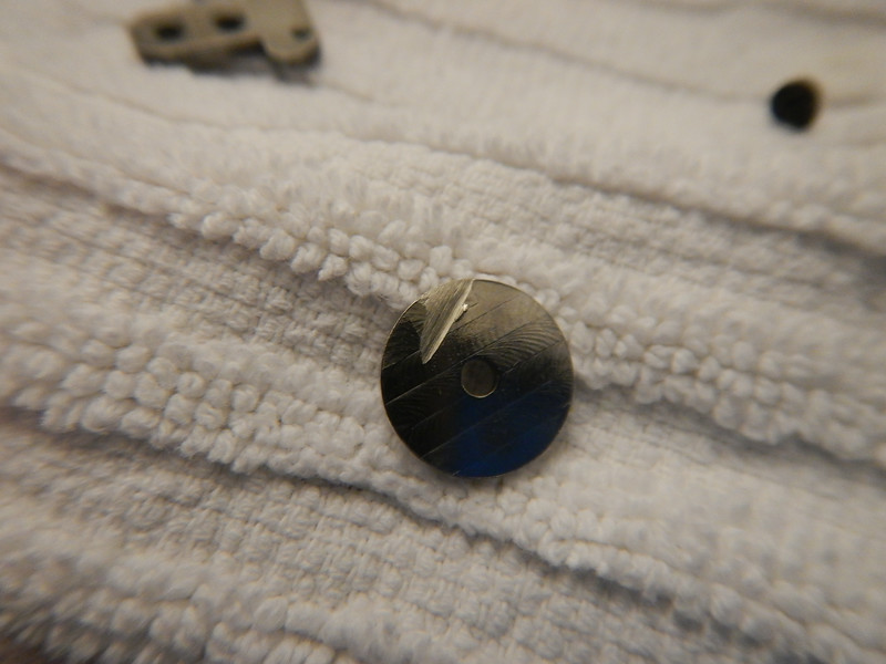 DSCN0307-L.jpg