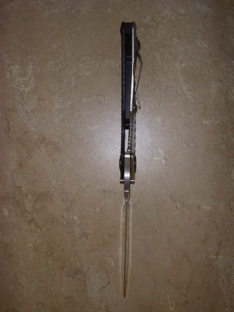 DSCN4403.jpg