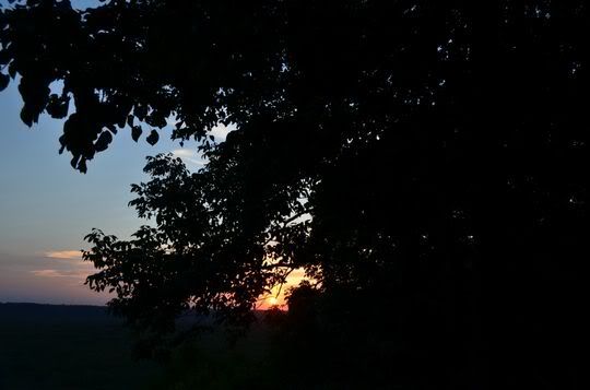 DSC_2725.jpg
