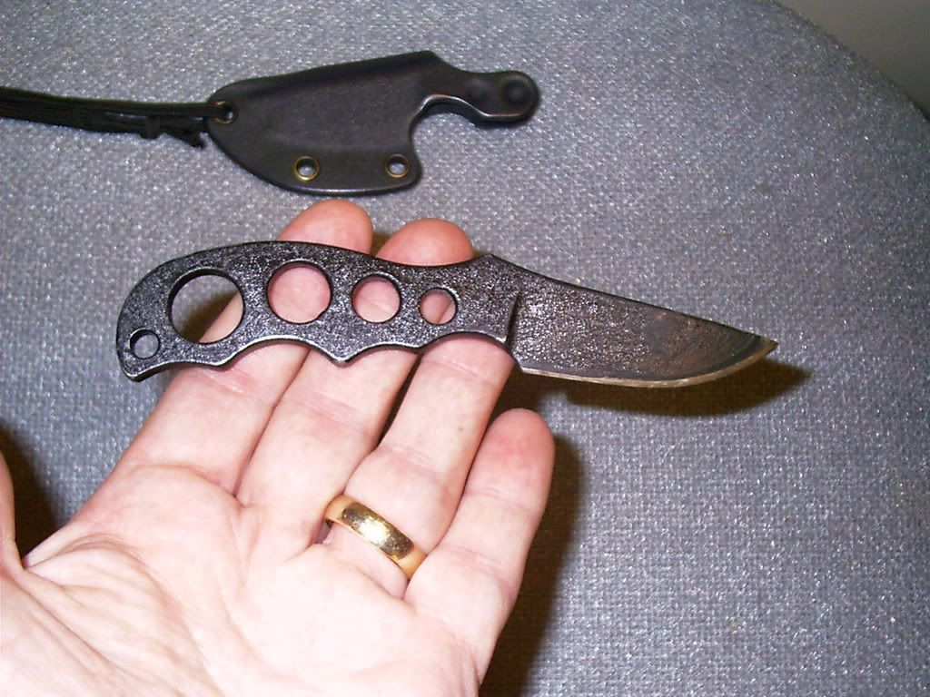 SWKWRatShakerI004.jpg