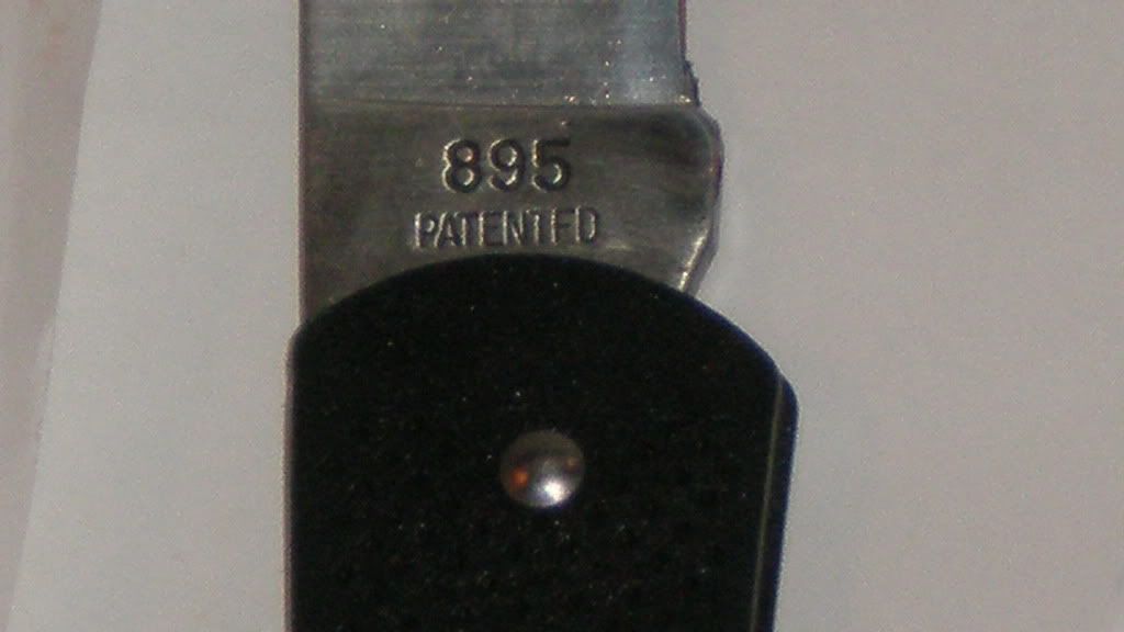 P1010005.jpg