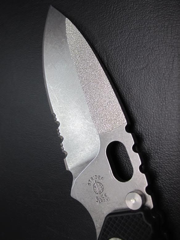BuckStrider7.jpg