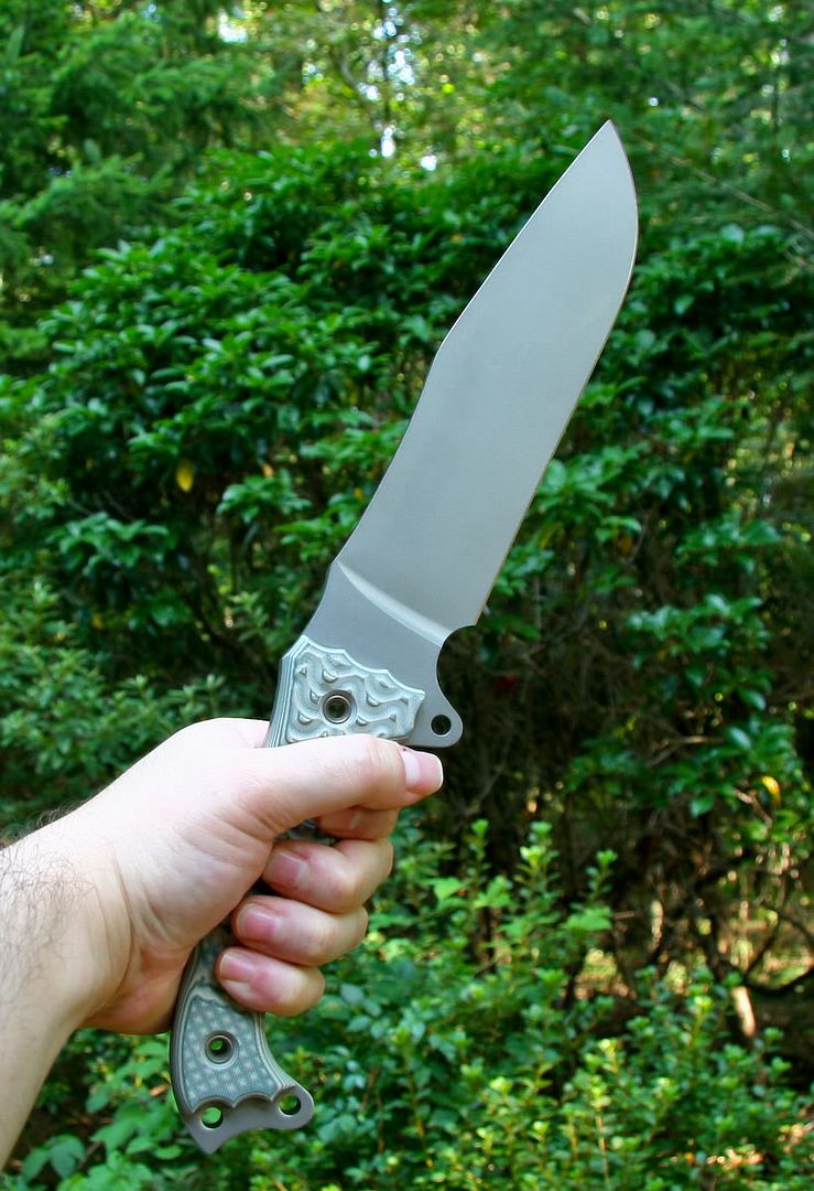 Busse_FSH-v2.jpg