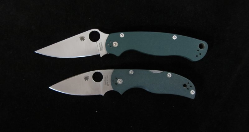 Para2_Native5_800x426.jpg