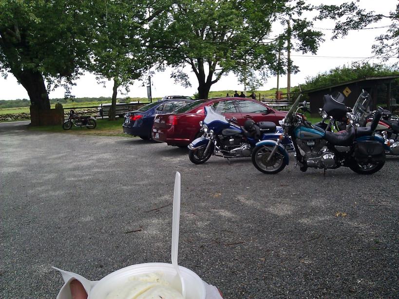 IMG_20120819_142454-small.jpg