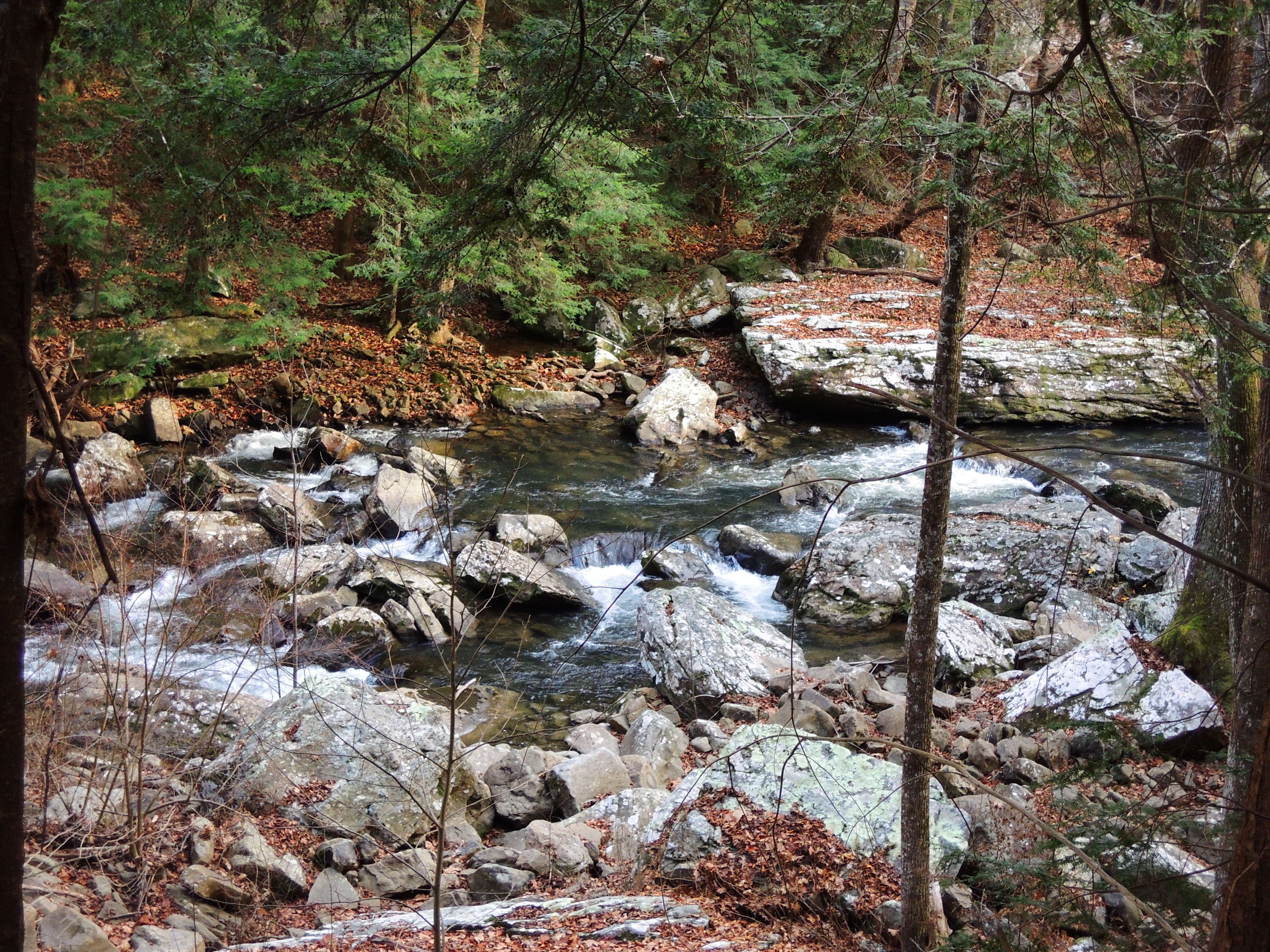 dscn4227a.jpg