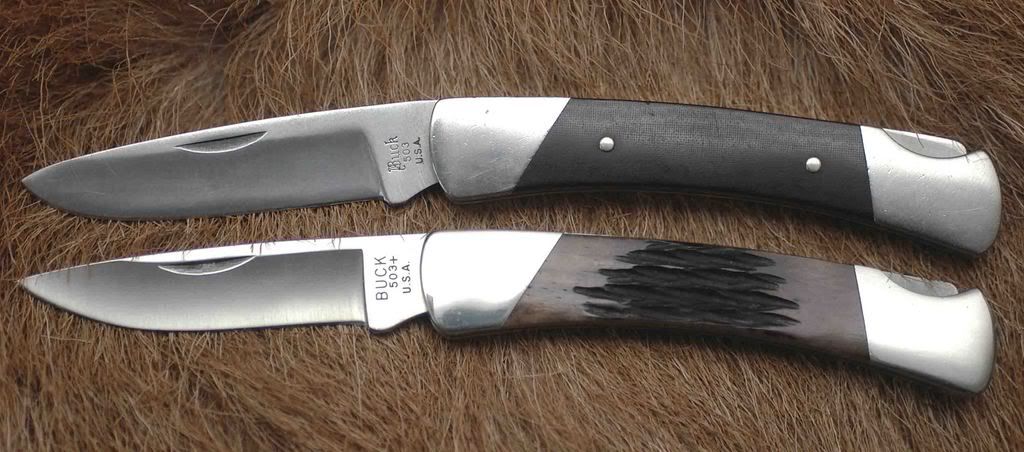 Buck503beide.jpg
