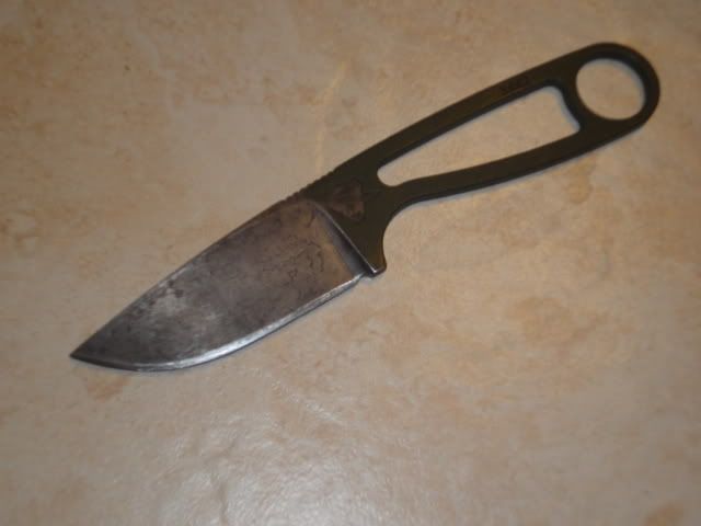 DSC01143.jpg