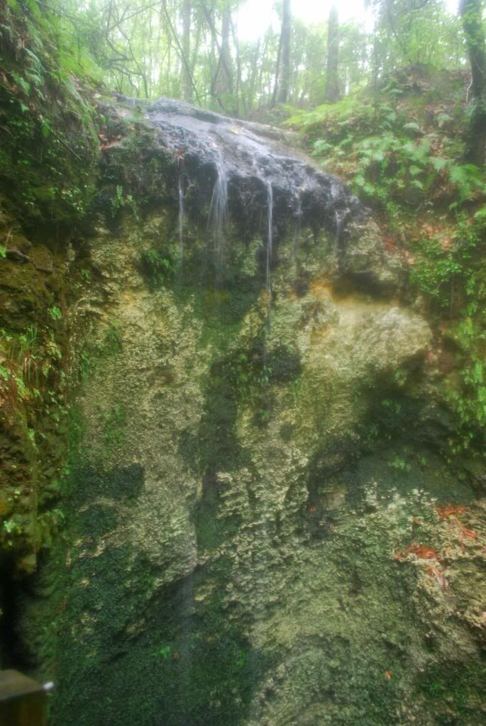 DSC_0455.jpg