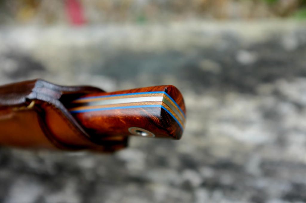 DSCF4705_zpss9aum01z.jpg