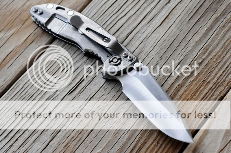 509.jpg