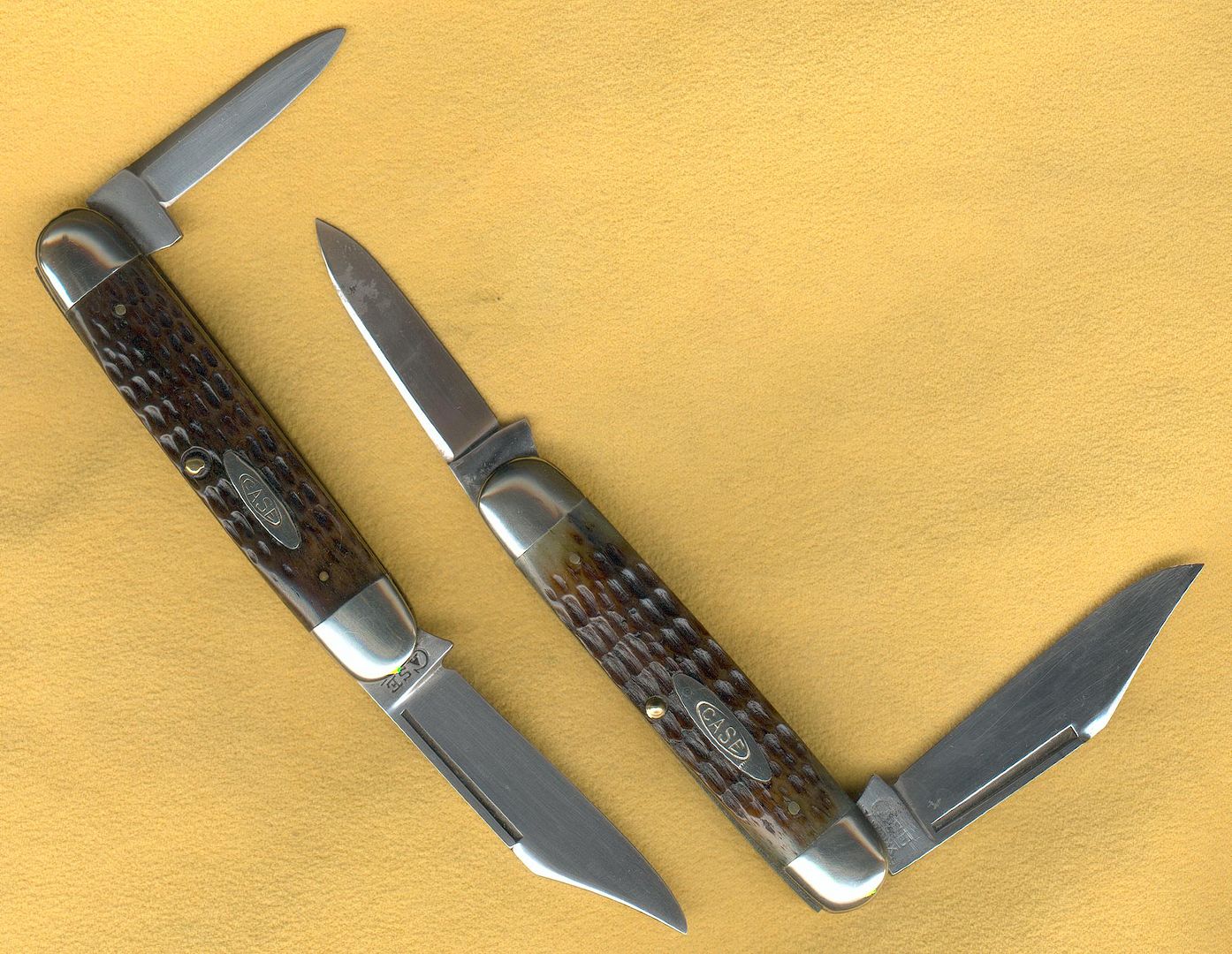 Case06230halfs.jpg