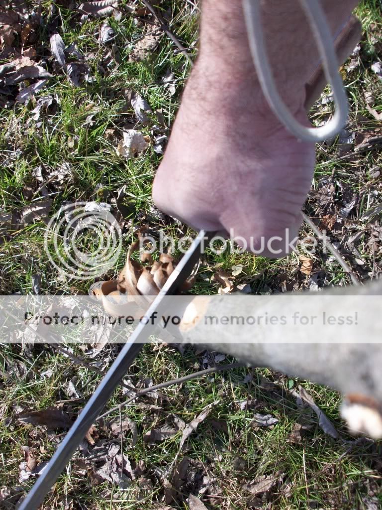 100_1846.jpg