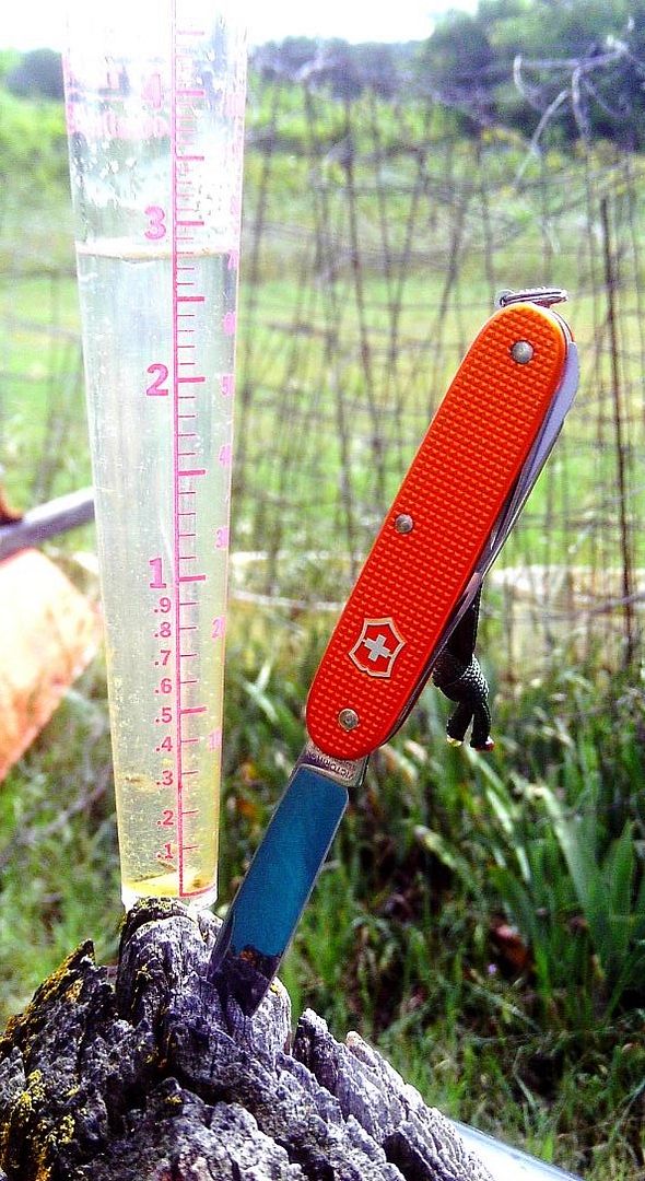 Farmer%20Rain%20Gauge_zpsvf1vdpvs.jpg