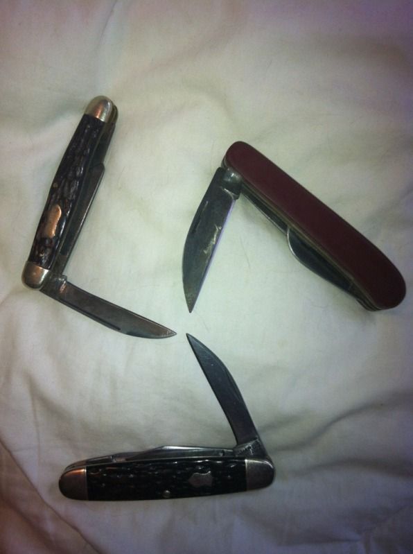 1cfd9edc.jpg