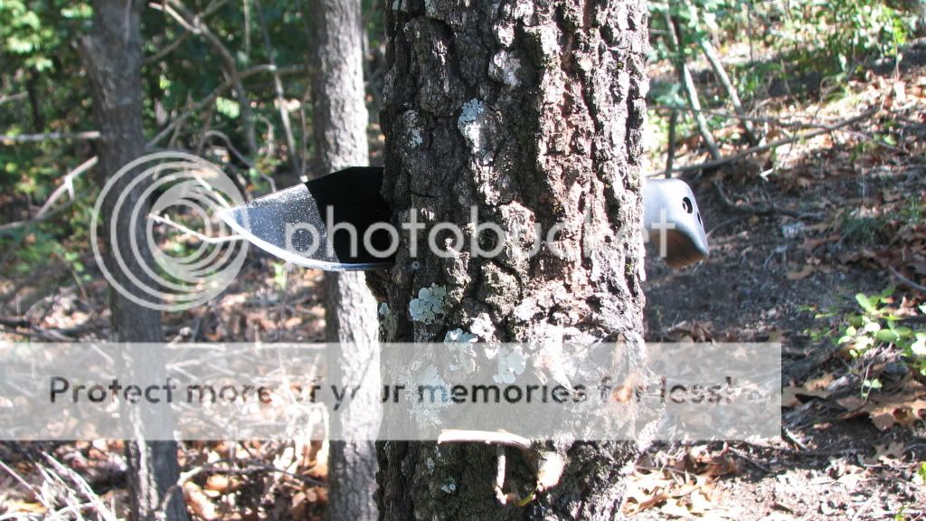 IMG_1964.jpg