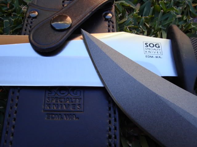 bm020.jpg