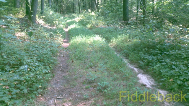 2011090120110826_105004_631-vi.jpg