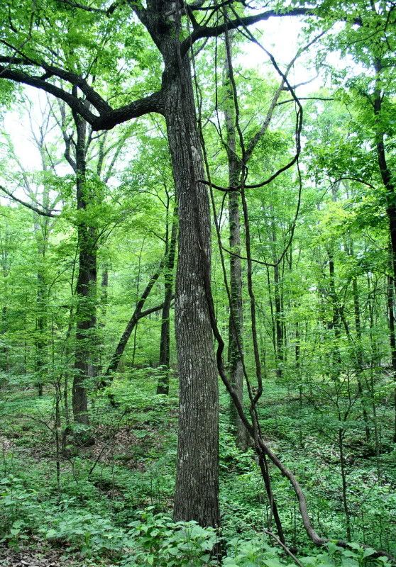 DSC_2213.jpg