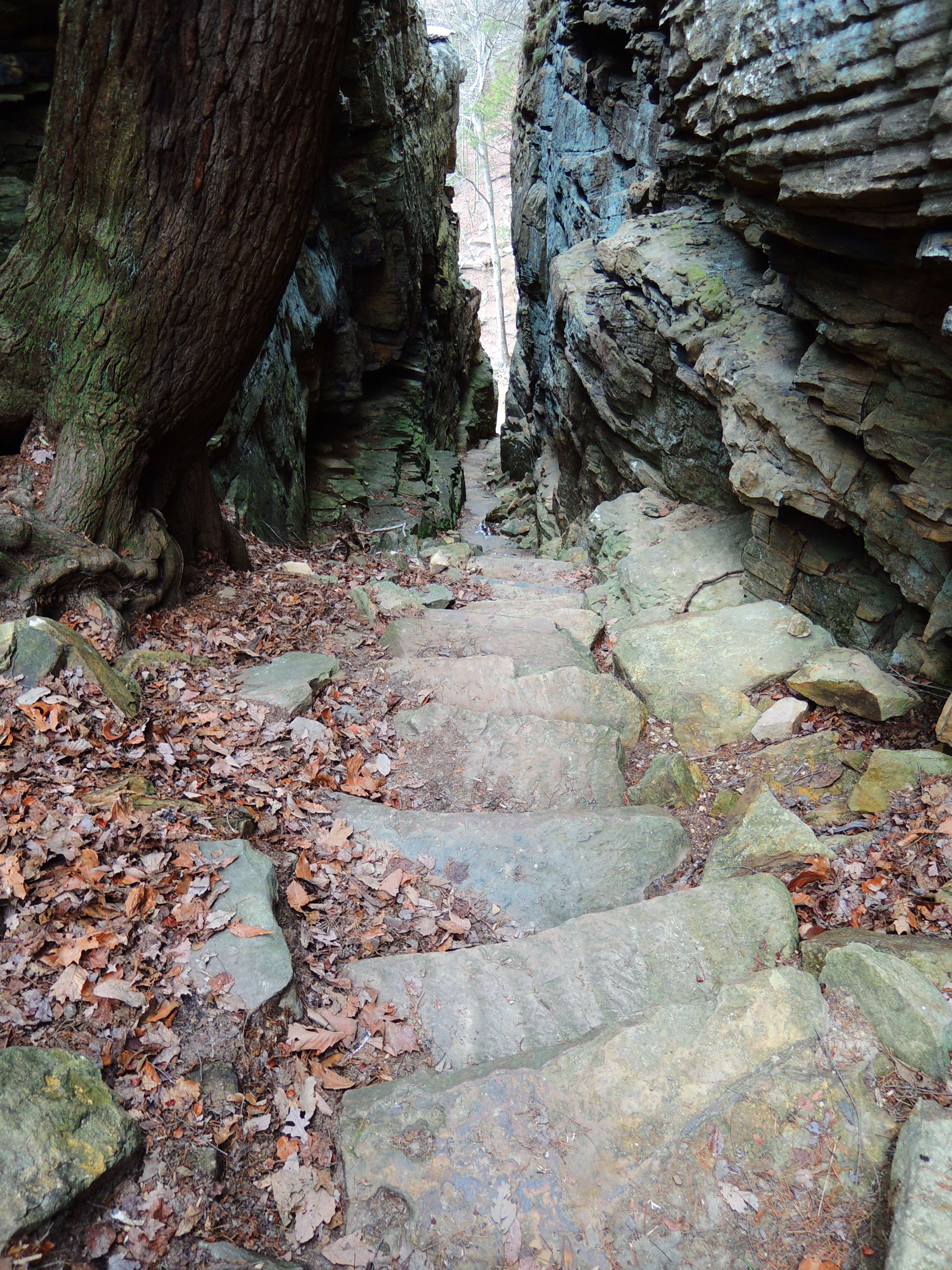 dscn6725w.jpg