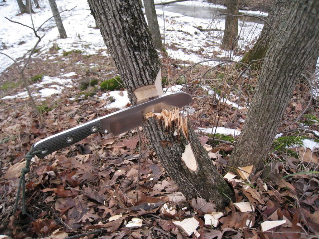 Picture003.jpg