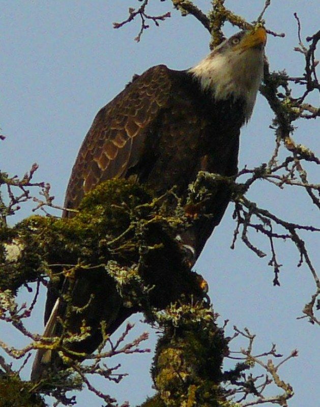 04-09-2012040-1.jpg