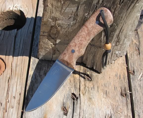 mapleburl03241200003.jpg