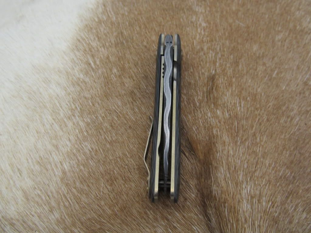 CFflipper018.jpg