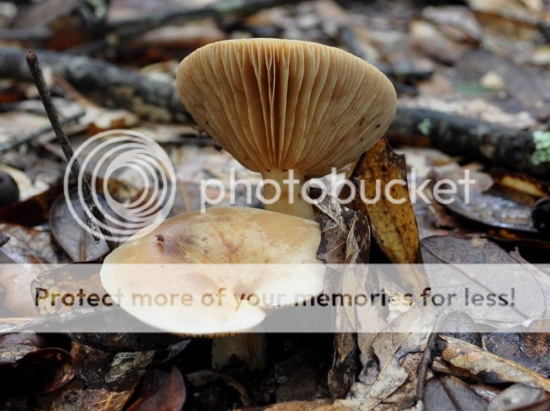 DSC_2053.jpg