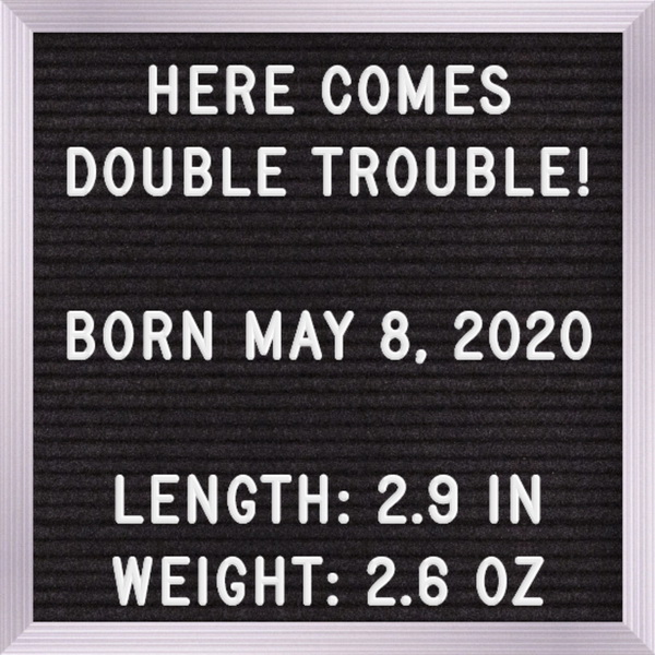 double_trouble_600.jpg
