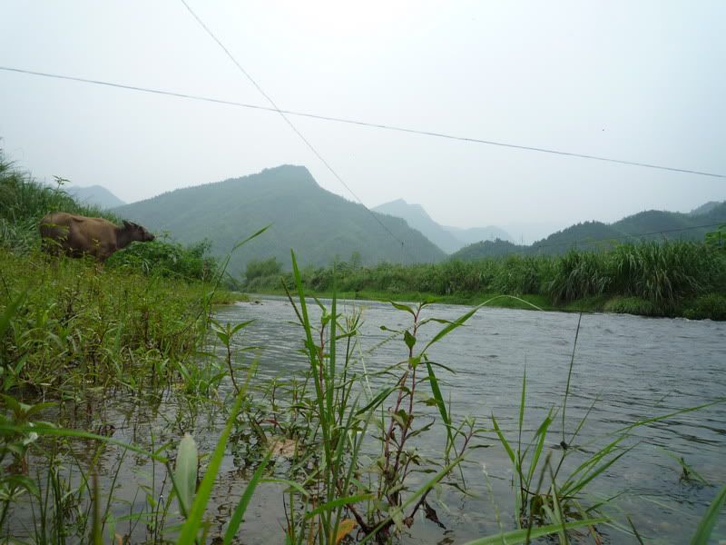 P1000955.jpg