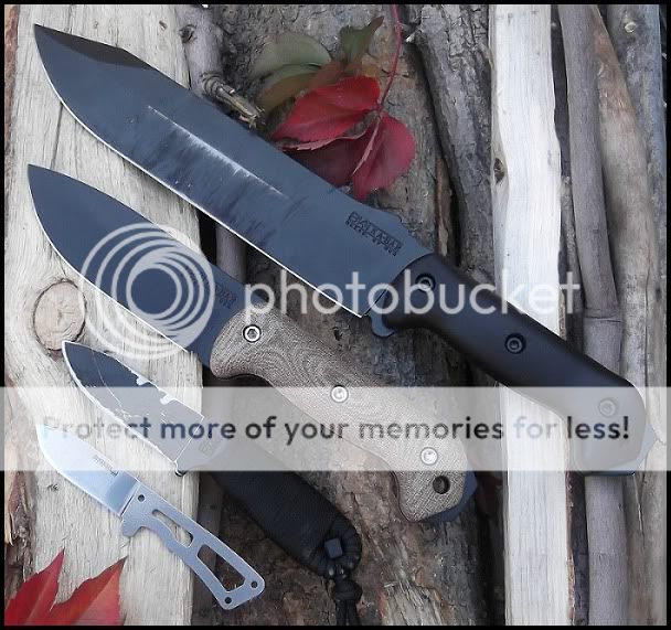 Beckers-1.jpg