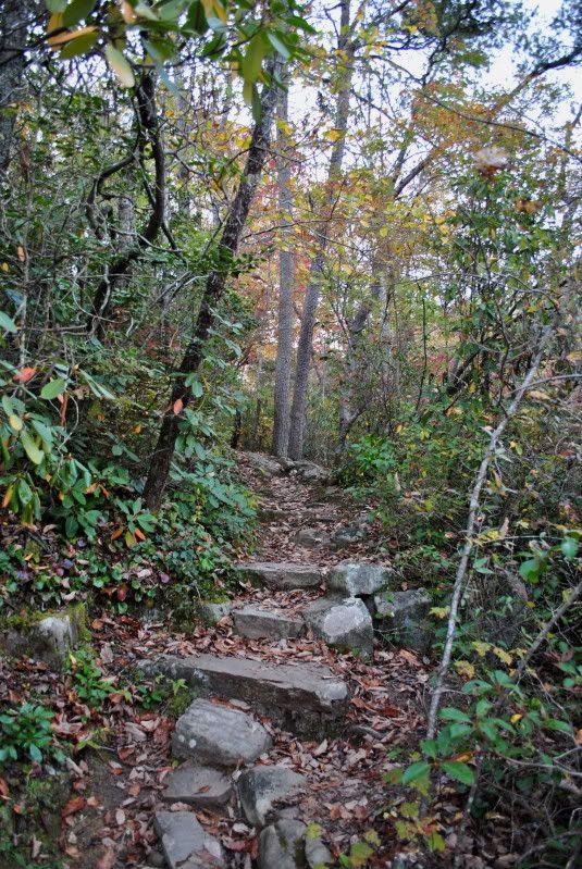 DSC_7988.jpg