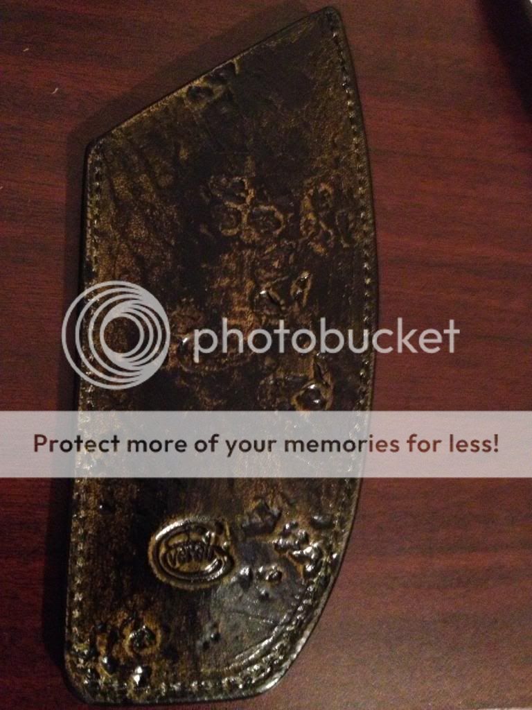IMG_0251_zpsa96c6733.jpg